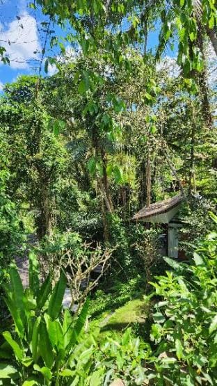Sacred River & Jungle Villa Villa in Sukawati