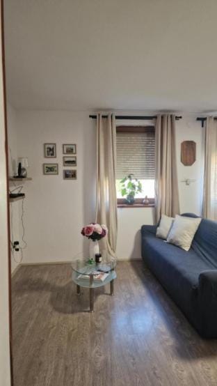 Lovely peaceful house Vacation rental in Vojvodina
