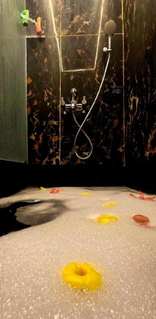 Luxury stay in Palolem, Salaam Namaste-Me & You Apartment in Canacona