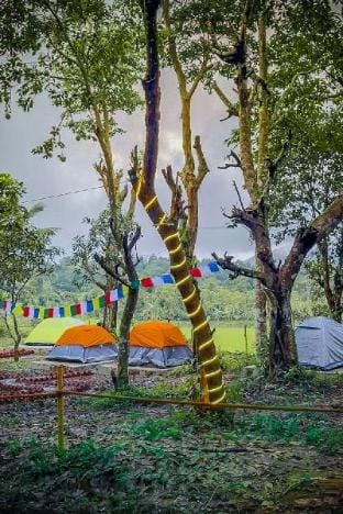 TauSco - Cozy Homestay Vacation rental in Kerala