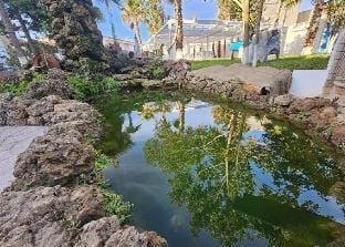 Oukkal Villa Avec Piscine 4-1 Villa in Alanya