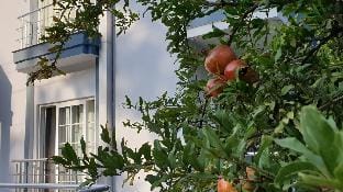 Kemer Comfort Apartment Vacation rental in Antalya Province