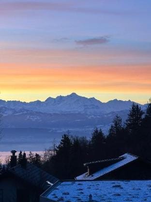 Mountain & Lake View Deluxe Apartment in Canton of Vaud