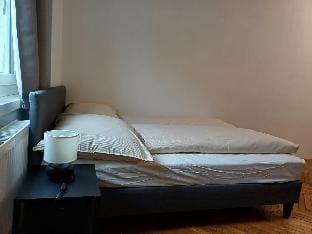 Studio Apartment on Lerchenfelder Str Apartment in Vienna