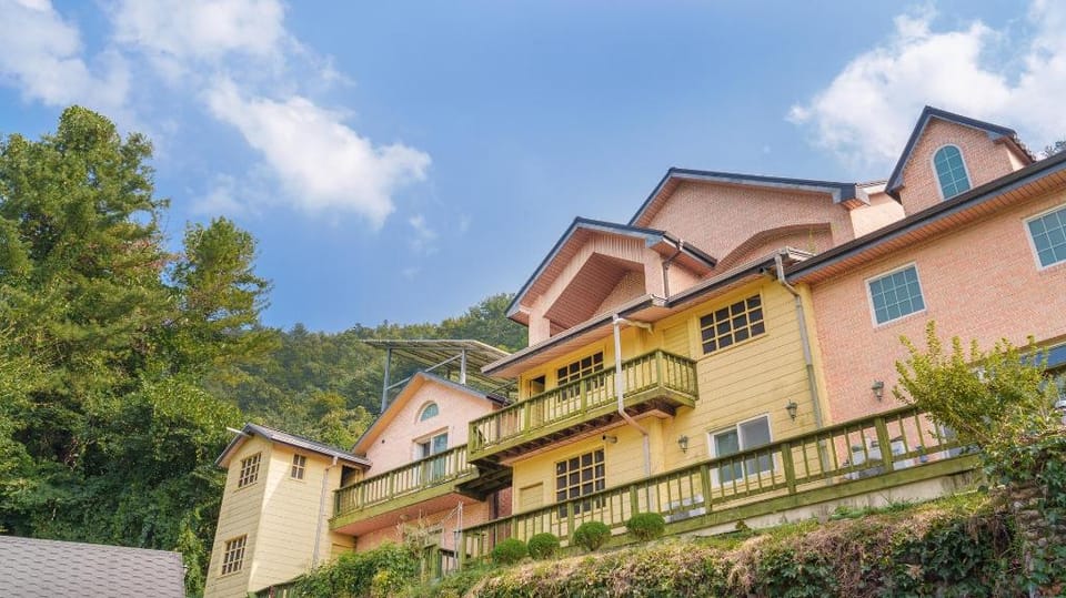 yangpyeong beulleosseom pet spa pension Bed and Breakfast in Gyeonggi-do