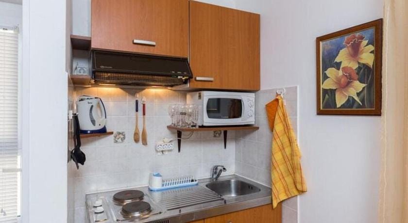 Apartments Milanovi - Superior Studio Apartment with Terrace and Garden View Apartment in Cavtat