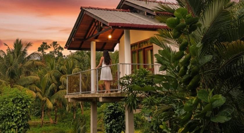 Forest & Fields - Sinharaja Bed and Breakfast in Southern Province