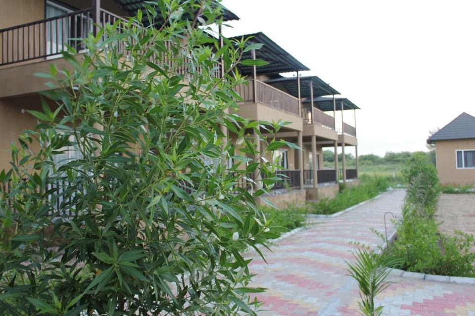 Sajjan Jawai Chapter Hotel in Rajasthan