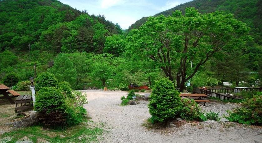 Small Village Pension Bed and Breakfast in South Korea