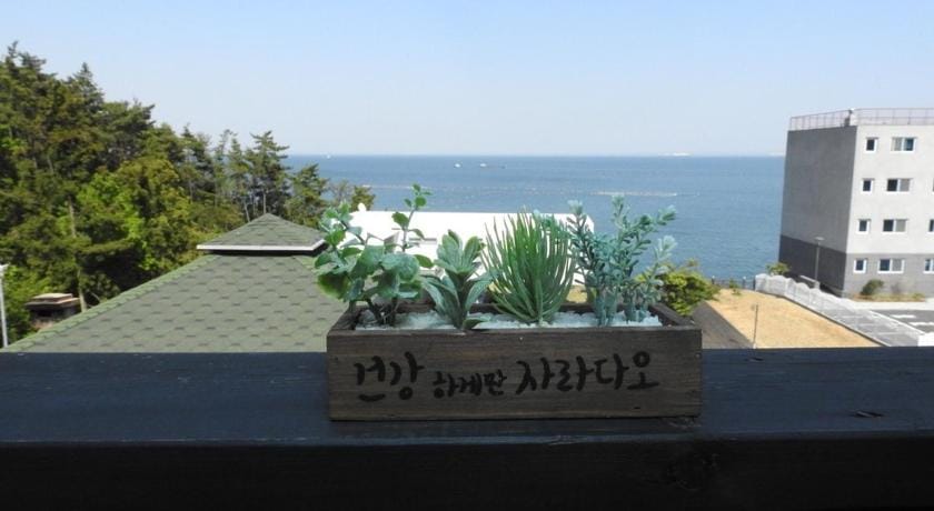 Sky Terrace Tourist Pension Bed and Breakfast in South Korea