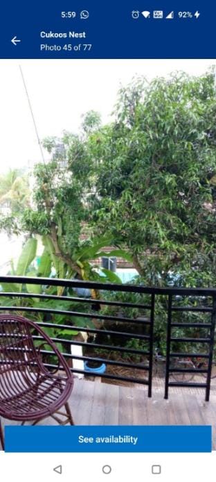Cukoosnest  Vacation rental in Kochi