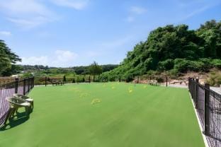 Gyeongpo Mong Dog Pension Bed and Breakfast in South Korea