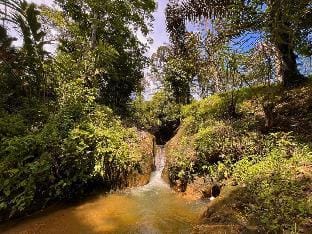Batu Ridi Jungle Campground/ 
RV Resort in Indonesia