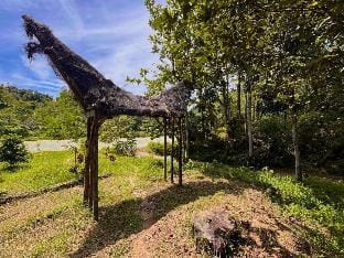 Batu Ridi Jungle Campground/ 
RV Resort in Indonesia