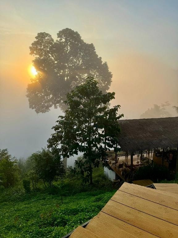 4sky Luxury tent in Thailand