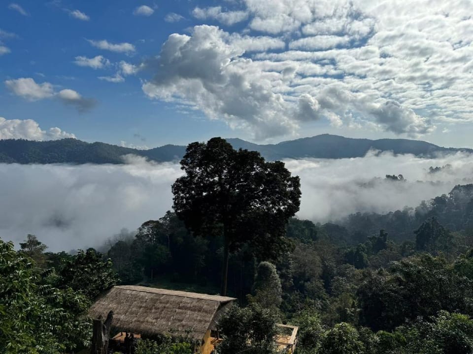 4sky Luxury tent in Thailand