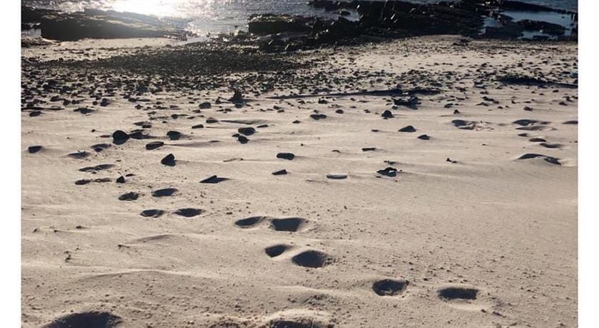 Cozy, Spacious Loft on 4th Avenue Apartment in Cape Town