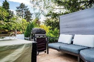 Spacious apartament with Exclusive Terrace Apartment in Dusseldorf