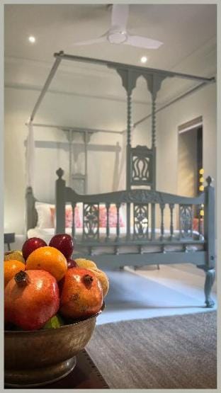 Smiling sparrows 2 bedroom luxury terrace villa Villa in Udaipur