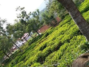 Joni farm house in Ooty Vacation rental in Kerala