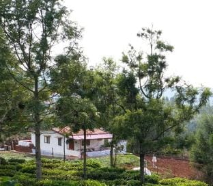 Joni farm house in Ooty Vacation rental in Kerala