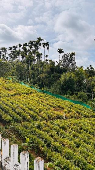 Jk home stay  Vacation rental in Kerala