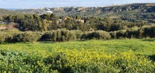 Villa Phyllia, a property  with history Farm Stay in Heraklion