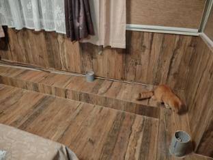 Forest View Cabin Apartment in Bengaluru