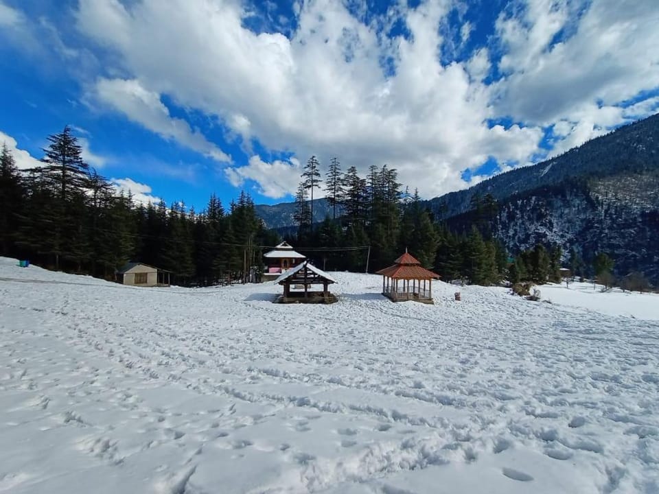 Timber nest Cottage Hotel in Himachal Pradesh