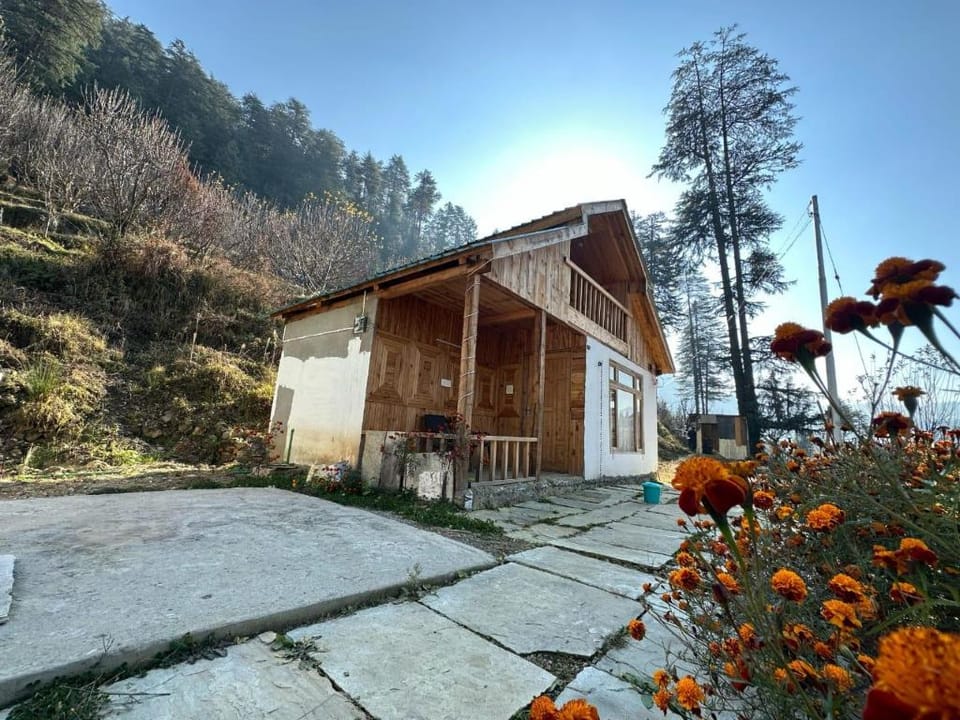 Timber nest Cottage Hotel in Himachal Pradesh