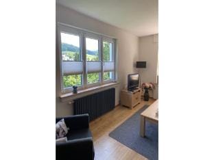 Ferienhaus bei Winterberg mit Sauna Vacation rental in Winterberg