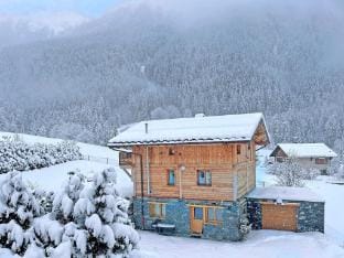 Chalet in Moulin with Sauna  Stunning Views Vacation rental in Bellentre