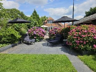 Farm Stay Near Bronkhorst Vacation rental in Gelderland, Netherlands