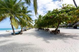 2br Apt at the beachfront, Diani Apartment in Diani Beach
