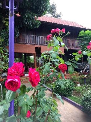 homestay nhà sàn Chalet in Vietnam