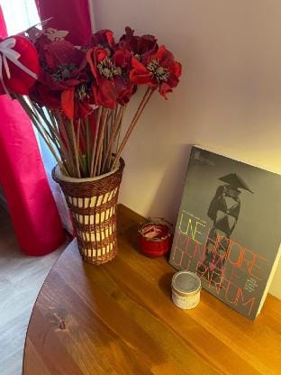 Coquelicot du Canal Saint-Martin Vacation rental in Paris