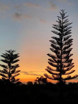 Phupandao Farmstay Villa in Laos