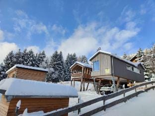 Modern mountain chalet with huge private garden Vacation rental in Salzburgerland