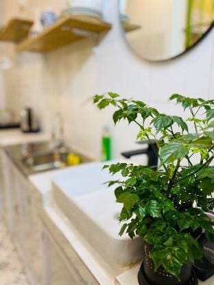 Camellia’s home in Old Quarter Vacation rental in Hanoi