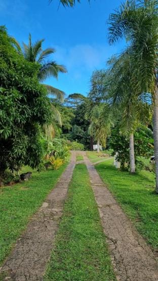 Te Arii - Pension TE AROHA Vacation rental in Moorea-Maiao