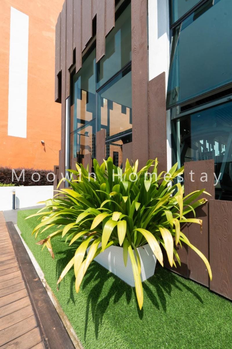 Summer Cozy Big Studio Vacation rental in Penang