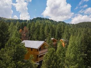 Cozy chalet with sauna Vacation rental in Carinthia, Austria