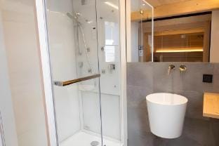 Premium apartment with sauna Apartment in Schladming