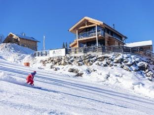 Cosy chalet with sauna Vacation rental in Schladming