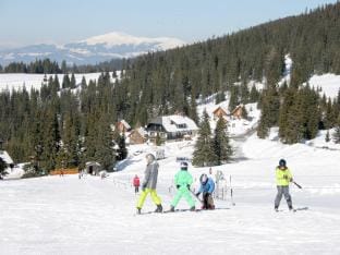 Chalet in Carinthia with Sauna near Ski Slopes Vacation rental in Carinthia, Austria
