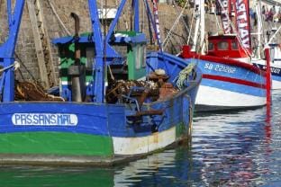 Holiday Home in Erquy near Sandy Beaches Vacation rental in Brittany