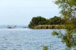 Holiday home with shared pool Vacation rental in Saintes-Maries-de-la-Mer