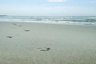 Holiday home with shared pool Vacation rental in Saintes-Maries-de-la-Mer