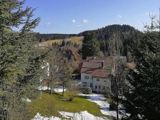 Wohnung in Altenau nahe Harzgebirge Apartment in Lower Saxony, Germany