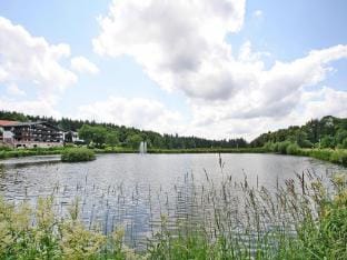 Ferienwohnung, Hahnenklee Apartment in Goslar